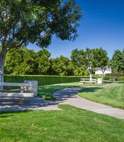 CBC Park Benches